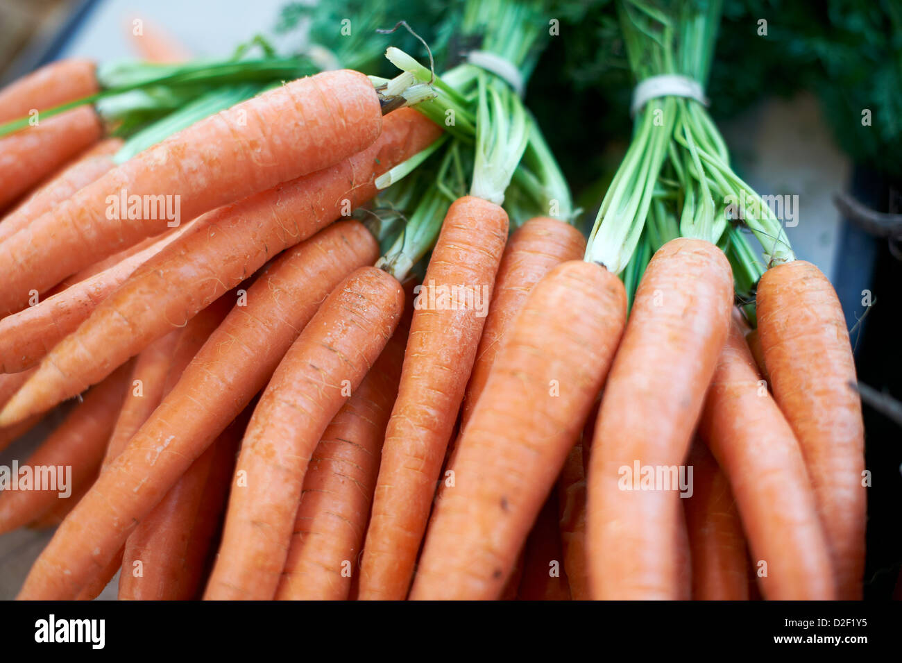 Le carote fresche di St George's farmers market Belfast Irlanda del Nord Foto Stock