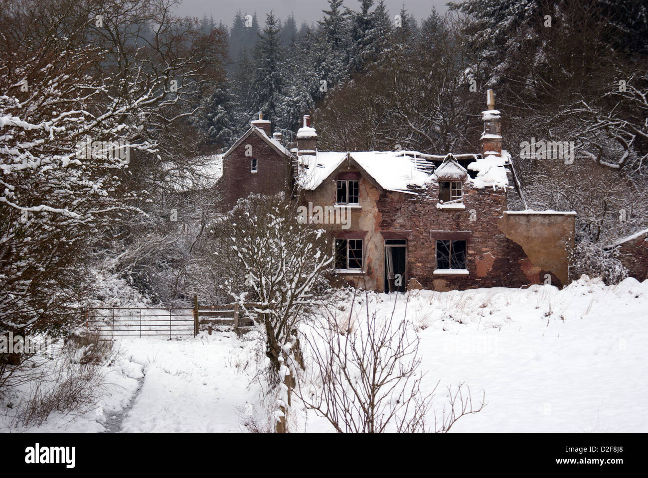 Cottage in rovina nella Foresta di Dean, Gloucestershire, Regno Unito Foto Stock