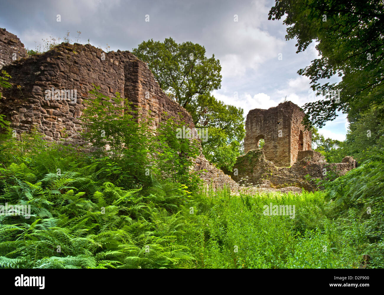 Il castello di Ewloe, Ewloe, Flintshire, Galles del Nord, Regno Unito Foto Stock