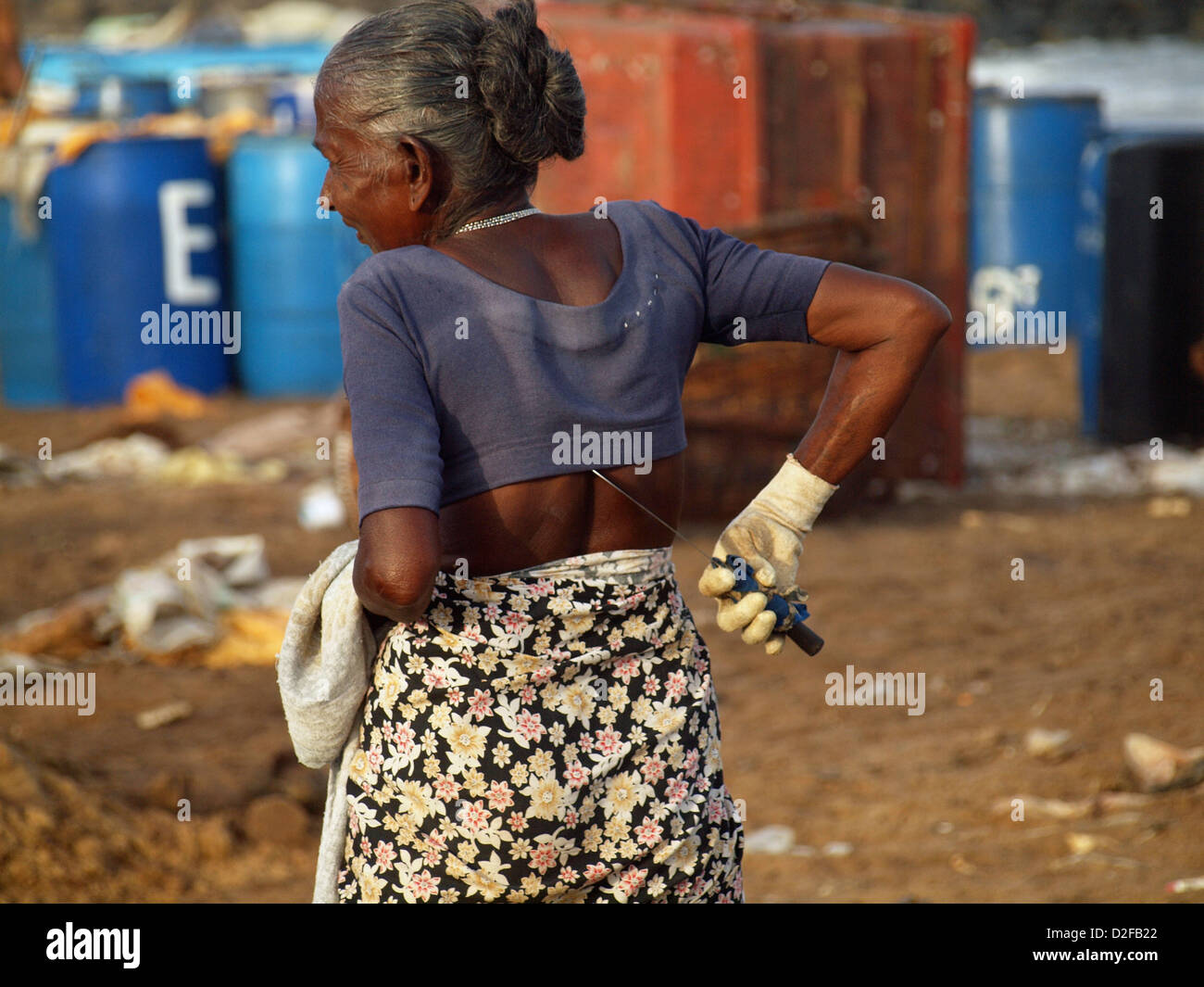 Una donna in attesa di processo il pesce appena pescato sulla spiaggia di Negombo Sri Lanka graffi la schiena con un affilato coltello di eviscerazione Foto Stock