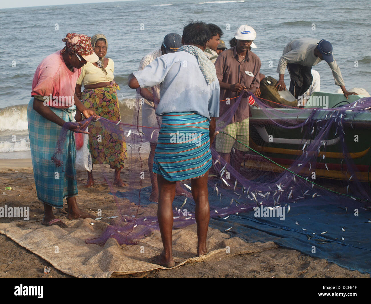 I pescatori scrollarsi di dosso le piccole appena sbarcati pesci dalle loro reti sottili a Negombo Sri Lanka Foto Stock