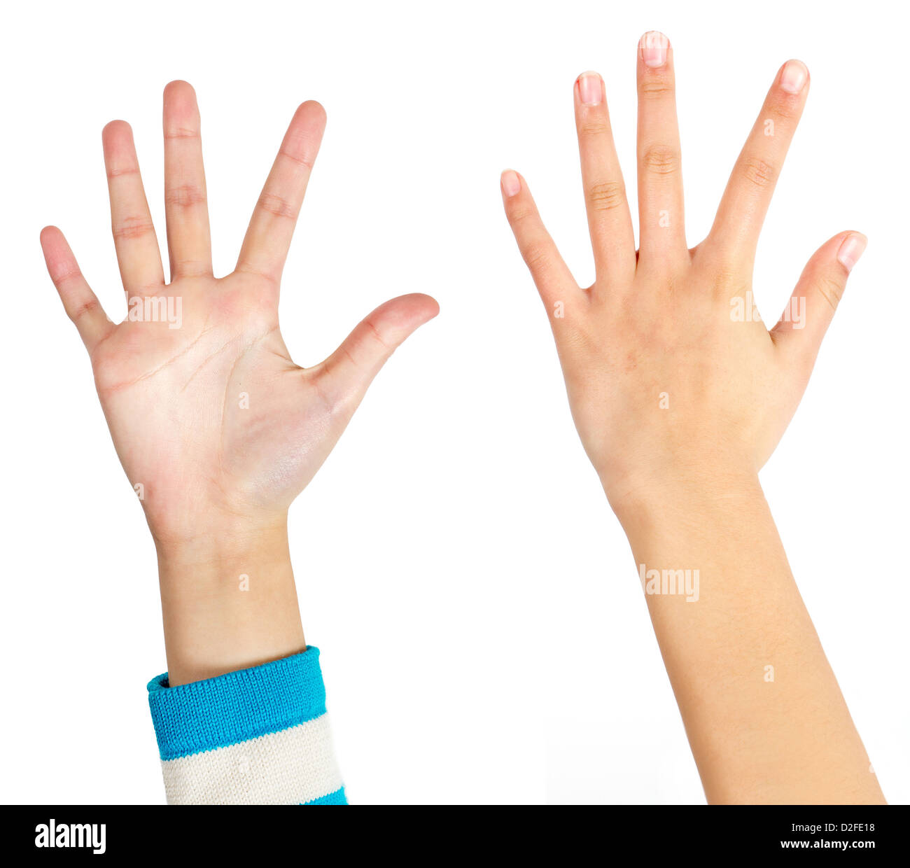 Alla donna il dorso della mano Foto Stock