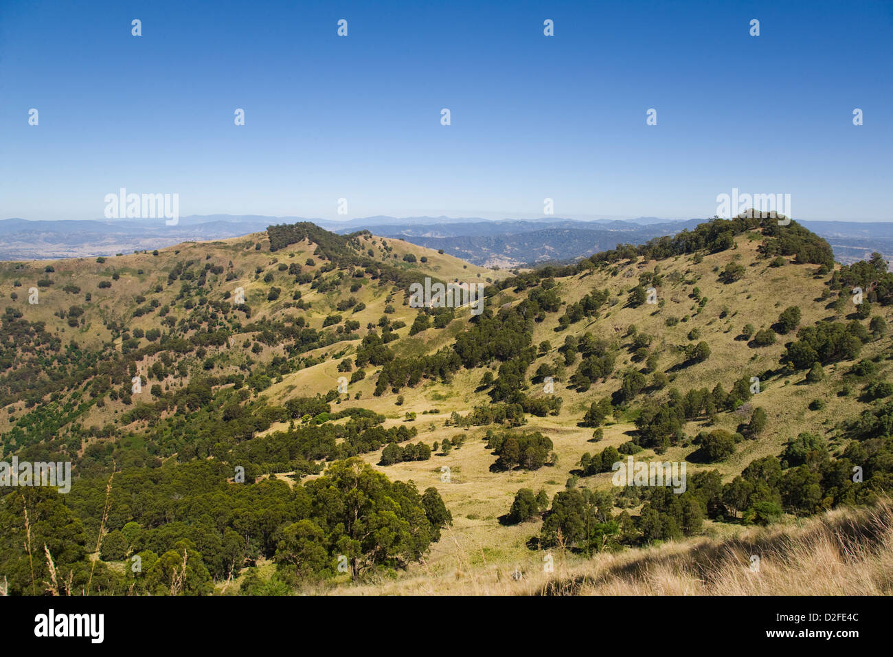 Australia, NSW, cacciatore regione, vista del bassopiano di Barrington Tops e Mount Royal gamma Foto Stock