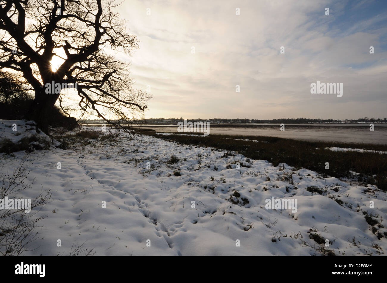 Sulla riva orientale del fiume Deben, Suffolk, appena a nord del punto Stonner. Foto Stock
