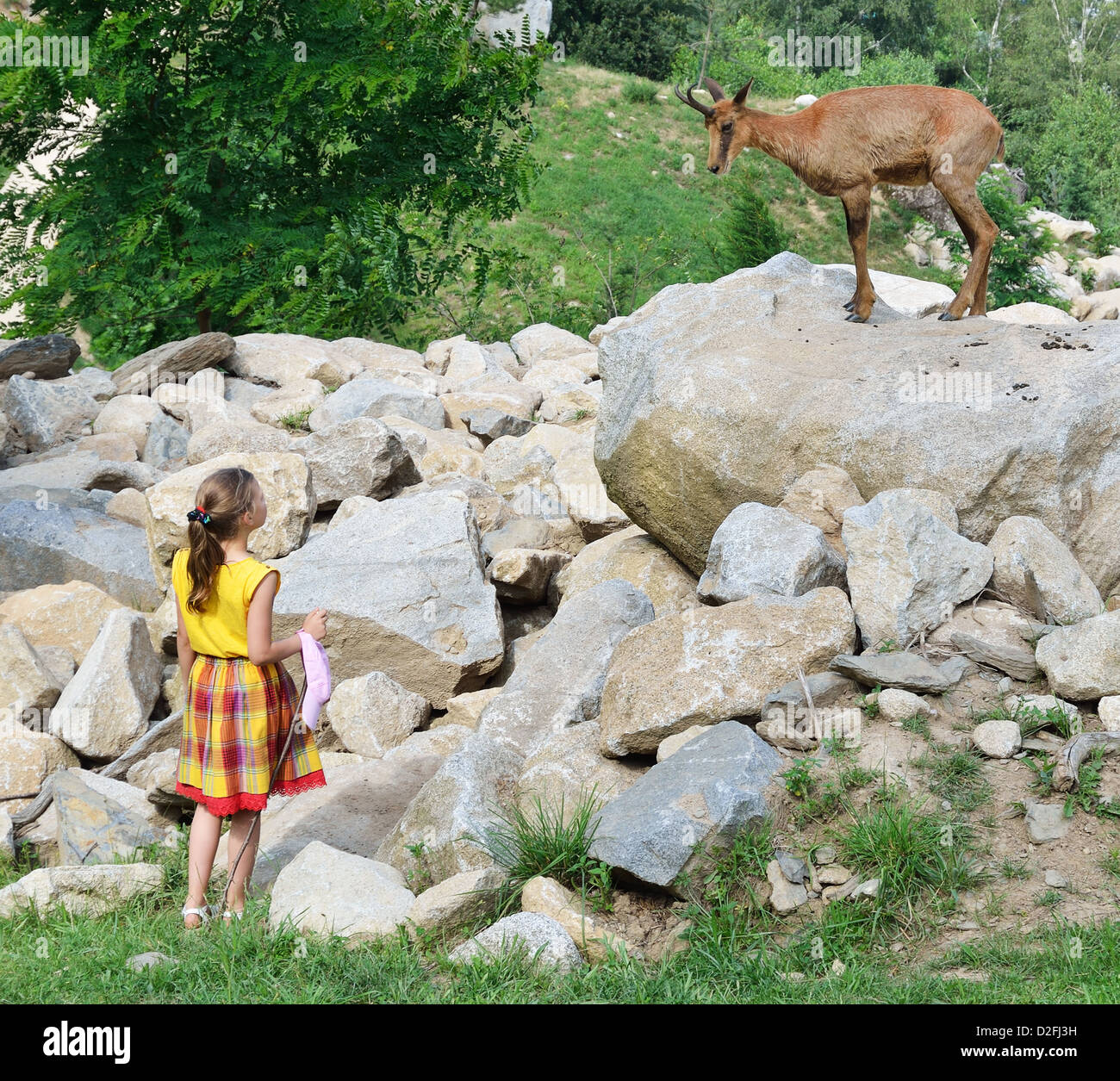 Una ragazza e una capra antelope Foto Stock
