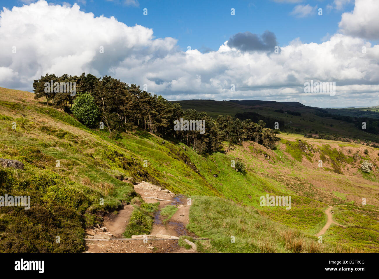Ilkley Moor sul modo Dales sentiero, West Yorkshire, Regno Unito Foto Stock
