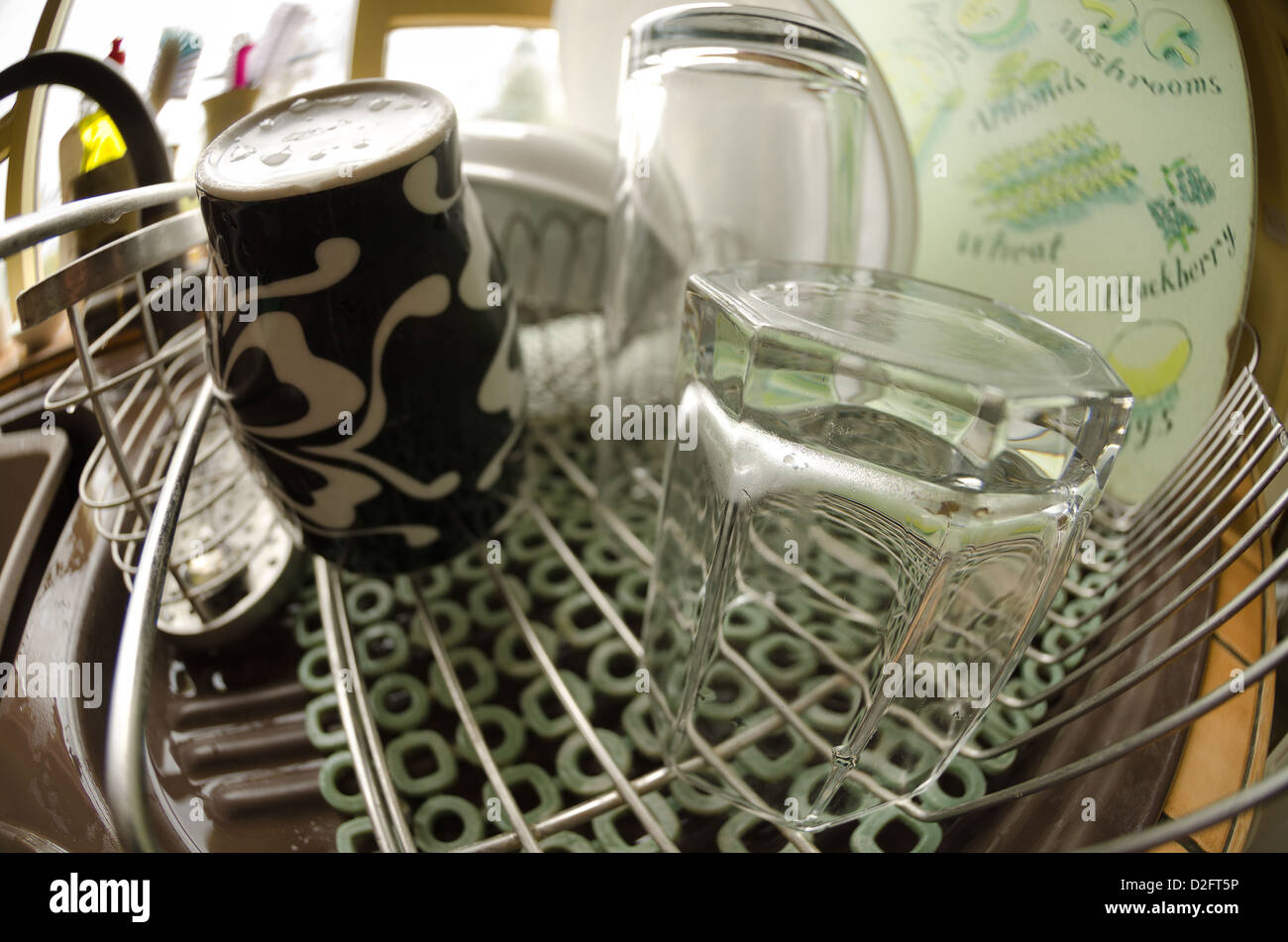 Pulire il boccale e occhiali sulla scheda di drenaggio all'interno di  attività da svolgere in cucina del giorno ha sottolineato distorta Foto  stock - Alamy