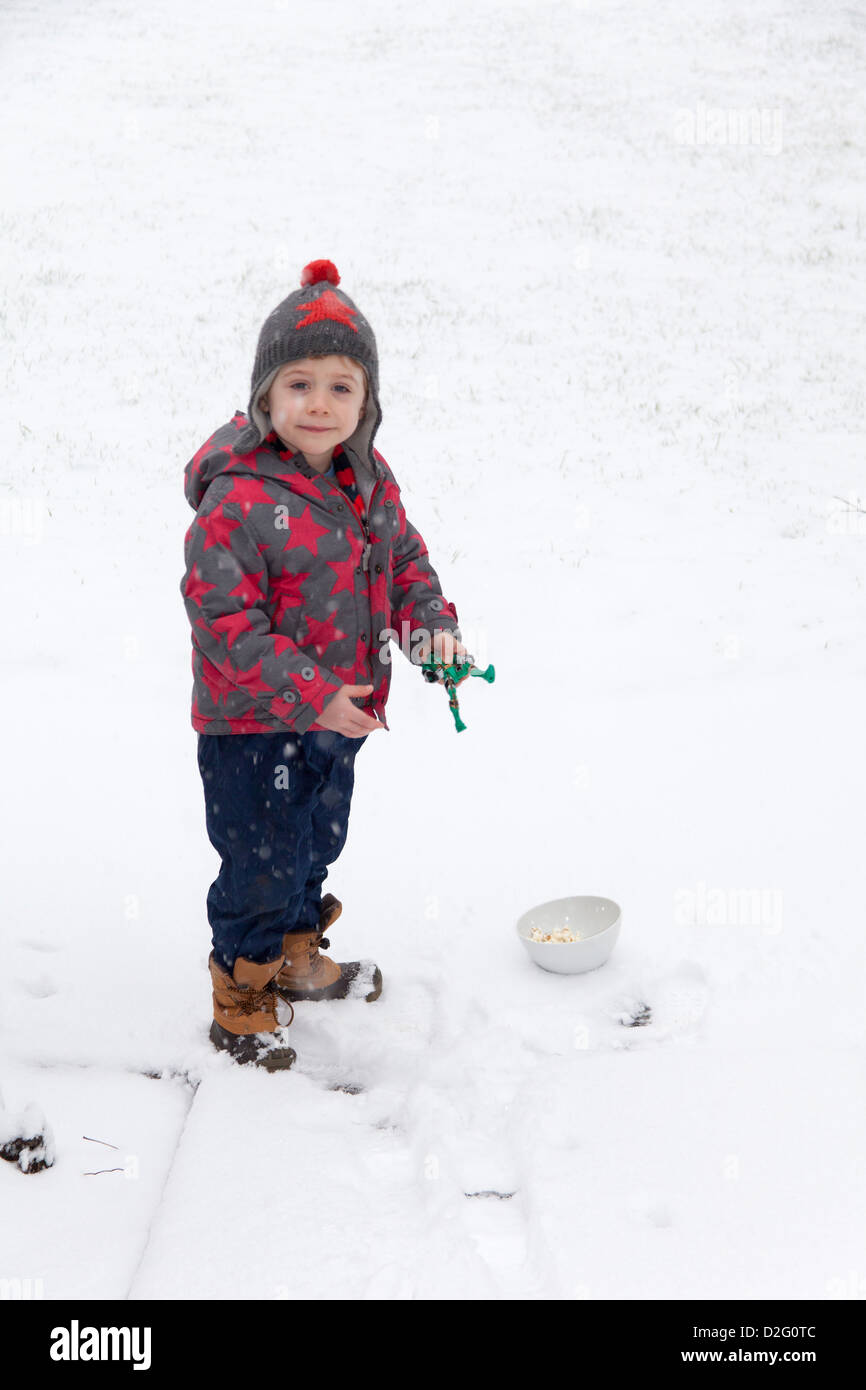 Tre anni di vecchio ragazzo fuori a giocare nella neve su uno slittino. Alresford Hampshire, Inghilterra, Regno Unito. Foto Stock