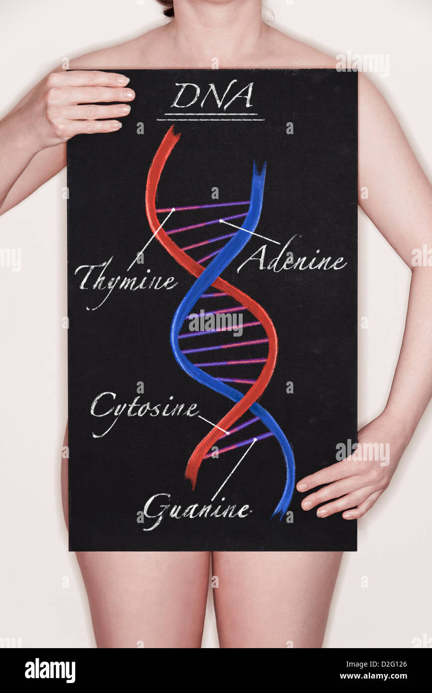 Donna che mantiene una lavagna con un diagramma / illustrazione di un DNA a doppio filamento di elica disegnata su di esso in Chalk Foto Stock Donna che mantiene una lavagna con un diagramma / illustrazione di un DNA a doppio filamento di elica disegnata su di esso in Chalk Foto Stock