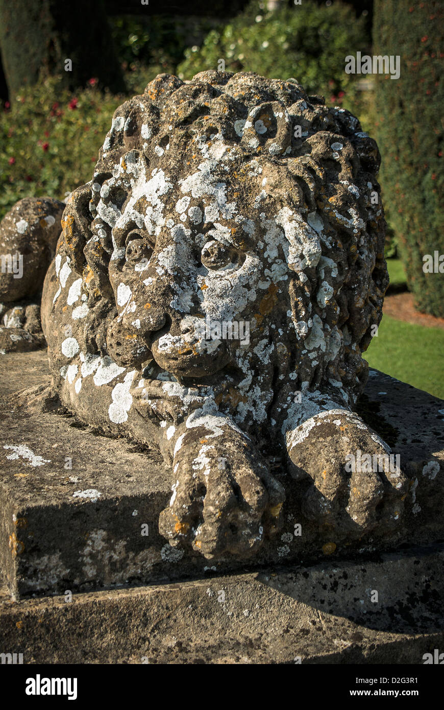 Statua di recumbent lion a Bowood Wiltshire, Inghilterra UK UE Foto Stock