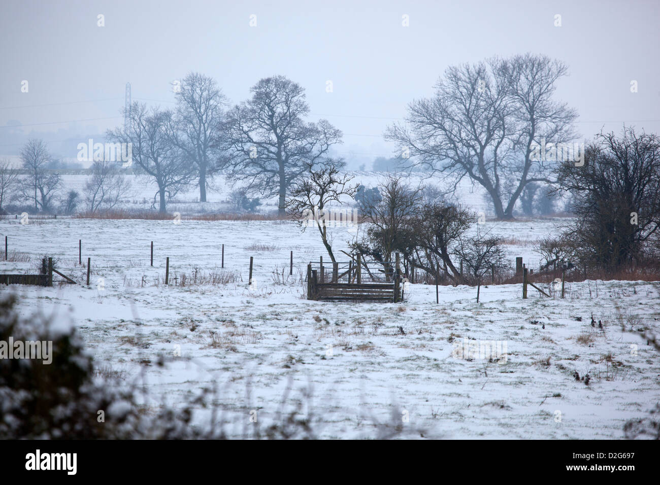 I campi e gli alberi in inverno con neve Foto Stock