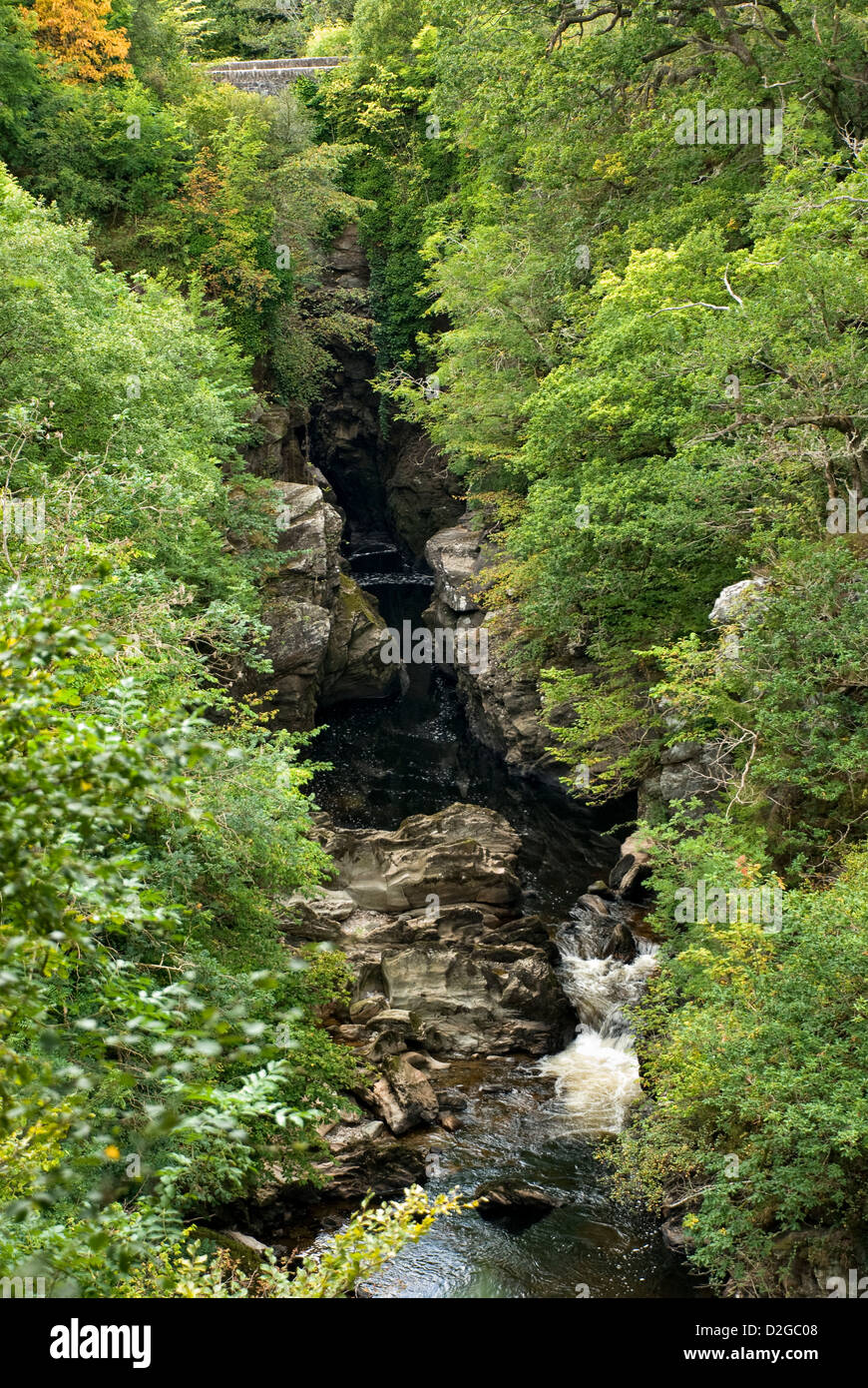 River Braan, Perthshire in gola boscosa come esce dal ponte di barilatura, così chiamato a causa del rumore del fiume. Foto Stock