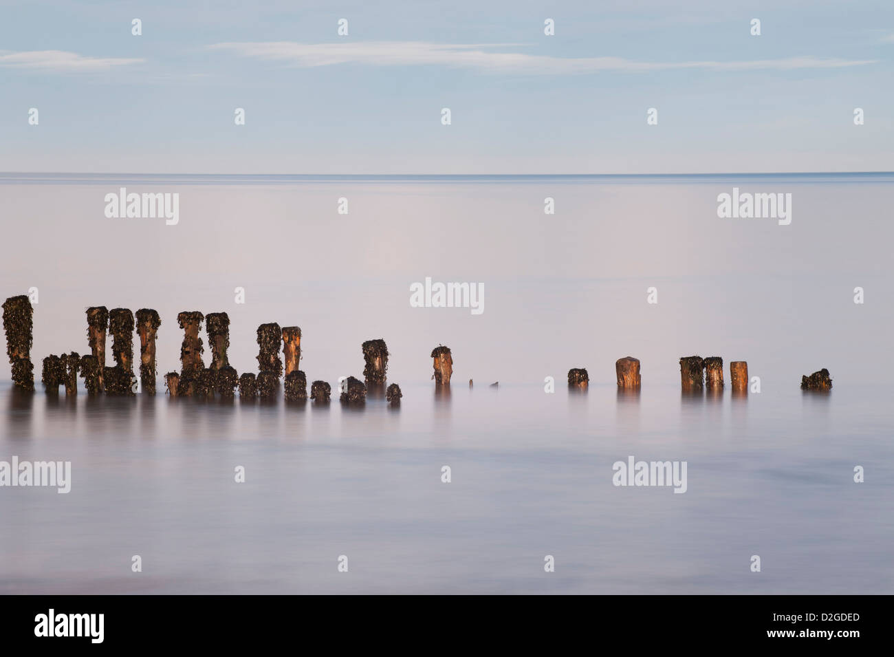 Erosi groyne in legno o frangiflutti sulla spiaggia di Porlock Weir, Somerset, Inghilterra, Regno Unito Foto Stock