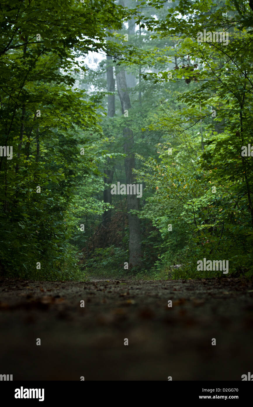Blendon boschi Metro Park, Westerville, Ohio. Foto Stock