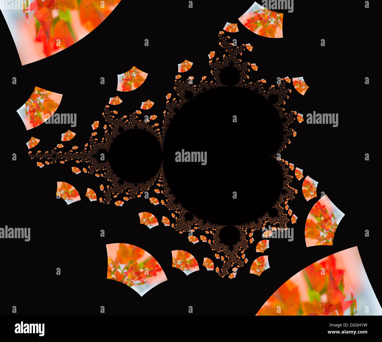 Caduta foglie di acero e Mandelbrot Set (effetto digitale) Foto Stock