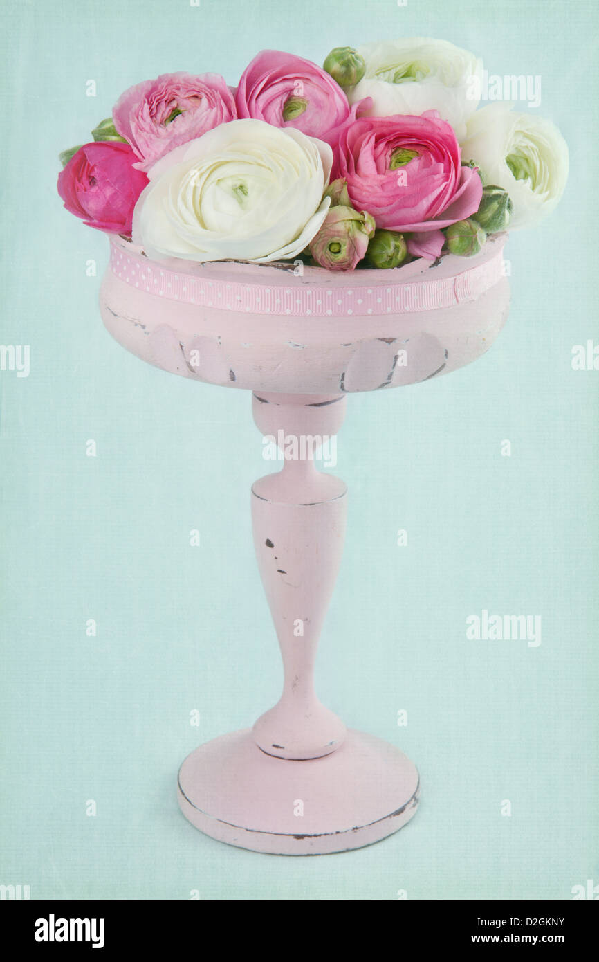 Fiori in un elegante colore rosa Vaso alto su azzurro sfondo testurizzata Foto Stock