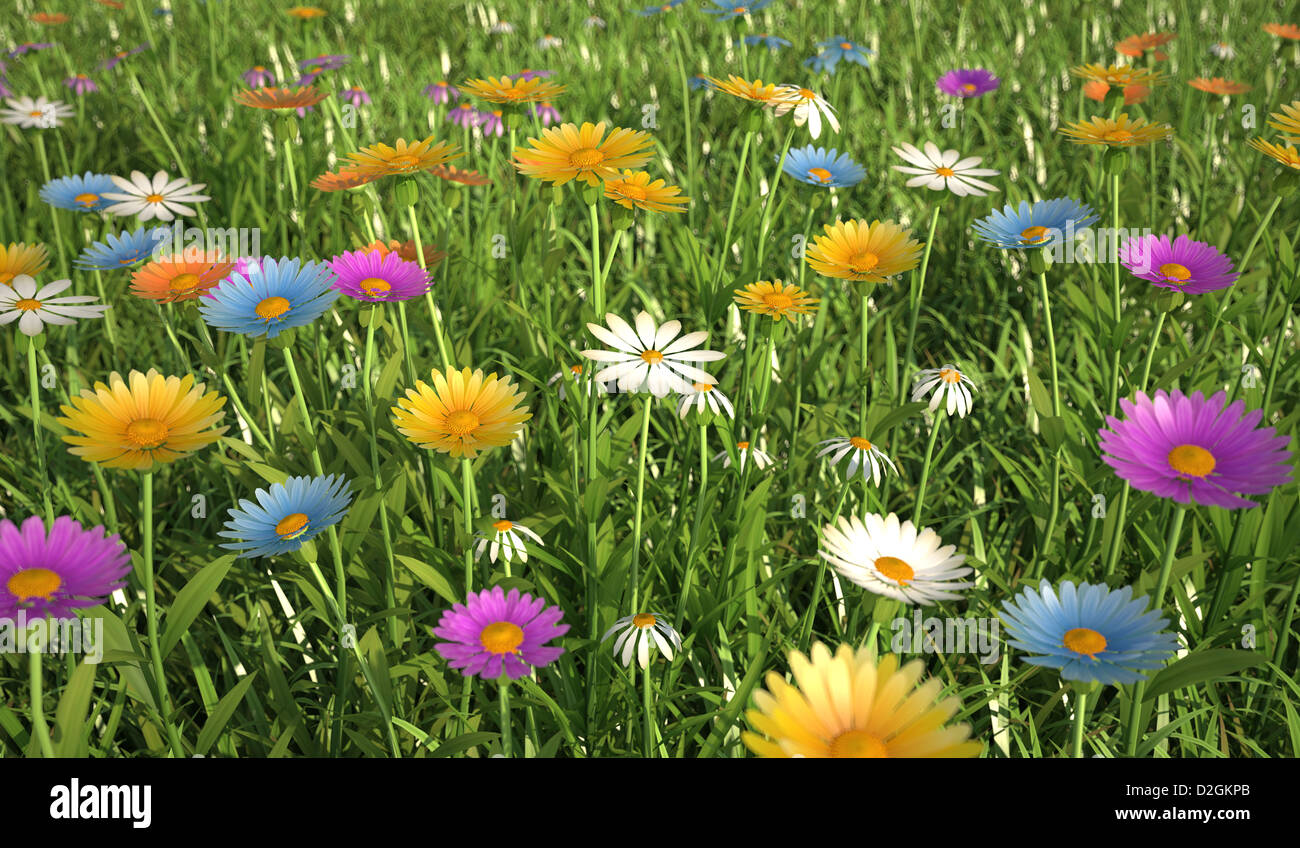 Vista ravvicinata di un'erba archiviato, abbondanza di fiori multicolori. Foto Stock