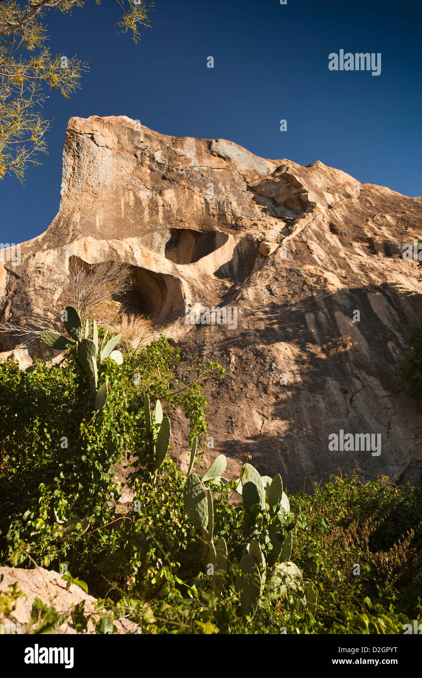Madagascar, Ambalavao, riserva d'Anja, cactus tra paesaggio roccioso Foto Stock