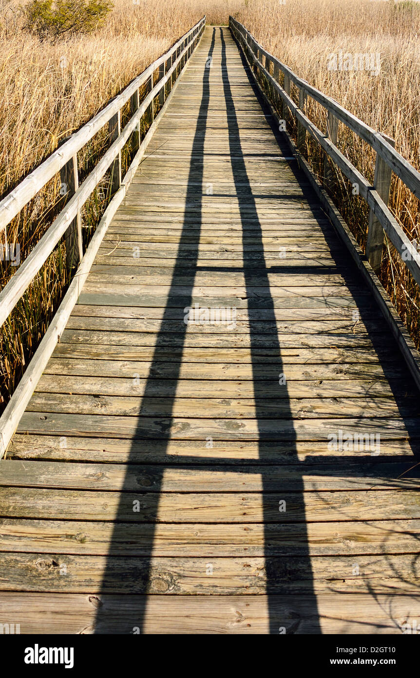 Passeggiata in Black Bay National Wildlife Refuge in Sandbridge, Virginia Beach, Virginia, Stati Uniti d'America Foto Stock