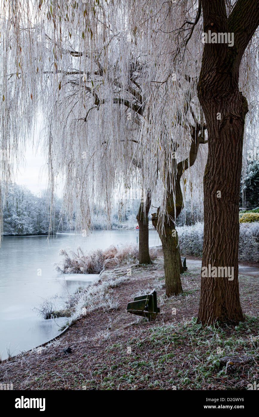 Trasformata per forte gradiente frost attorno ad un piccolo lago noto come Liden Lagoon a Swindon, Wiltshire, Inghilterra, Regno Unito Foto Stock