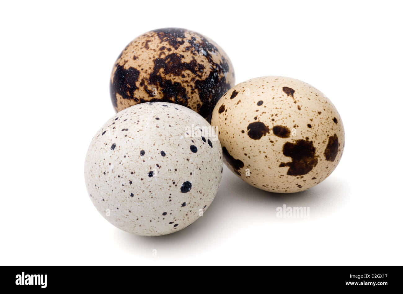 Cibo: gruppo di uova di quaglia, isolato su sfondo bianco Foto Stock