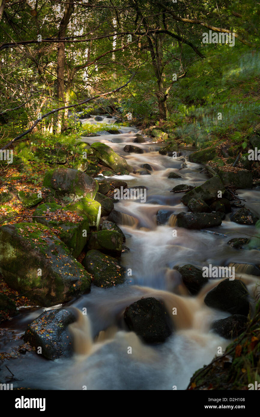 Inghilterra, Derbyshire, in streaming in ondata a Padley Gorge Foto Stock