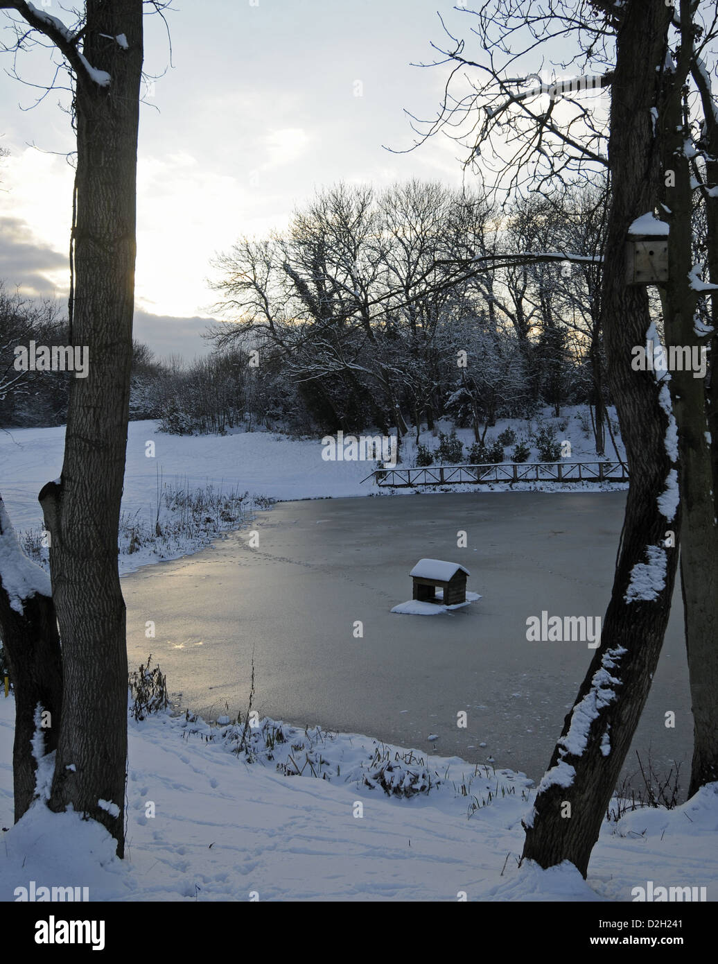 Congelato stagno su un inverni sowy pomeriggio Bromley Kent England Foto Stock