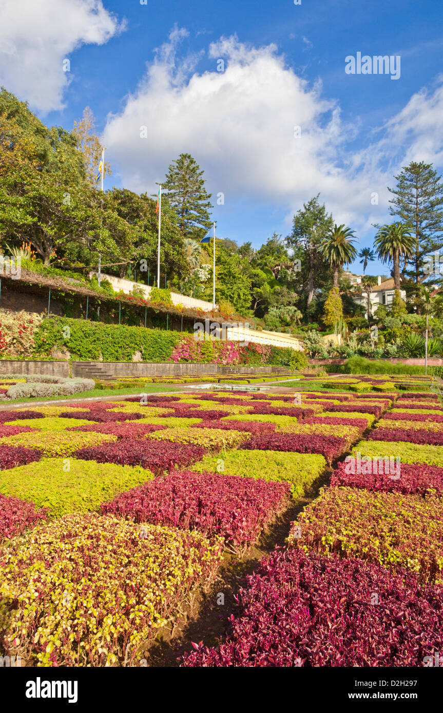 Madeira Funchal Madeira Orto Botanico, Jardim Botanico, sopra la capitale di Funchal, Madeira, Portogallo, UE, Europa Foto Stock