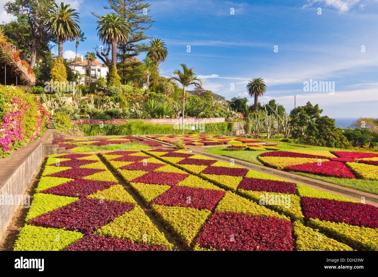 Madeira Funchal Madeira visualizzazione formale giardino nei giardini botanici Jardim Botanico Funchal Madeira Portogallo EU Europe Foto Stock