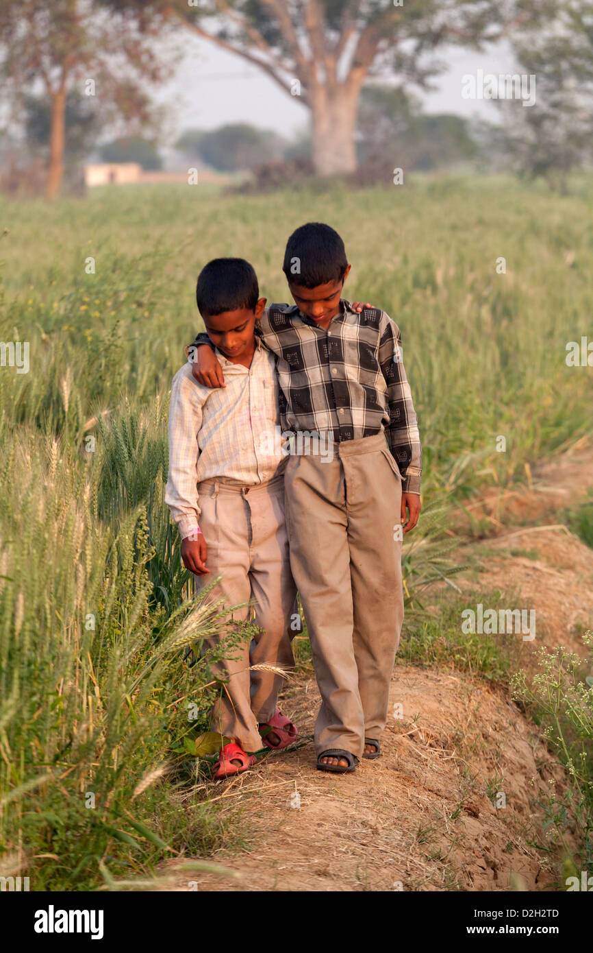 India, Uttar Pradesh, Agra, fratelli con bracci intorno a ogni altro spalle camminando attraverso il campo Foto Stock