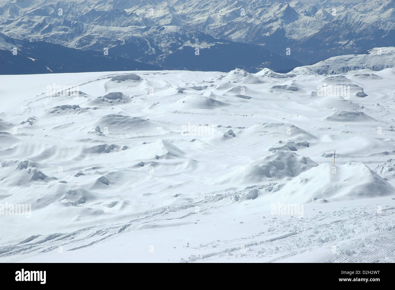Snow gobbe, La Plagne, sulle Alpi francesi, Francia, Europa Foto Stock
