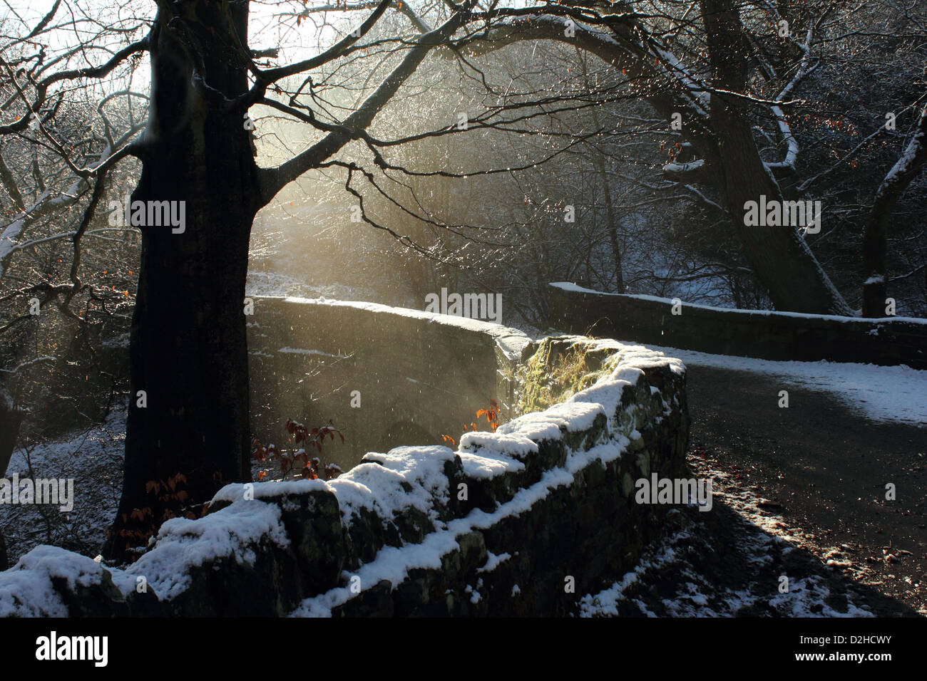 Nevoso Inverno Meteo fuso vapore sale da Moss sul Pack Horse Bridge Foto Stock