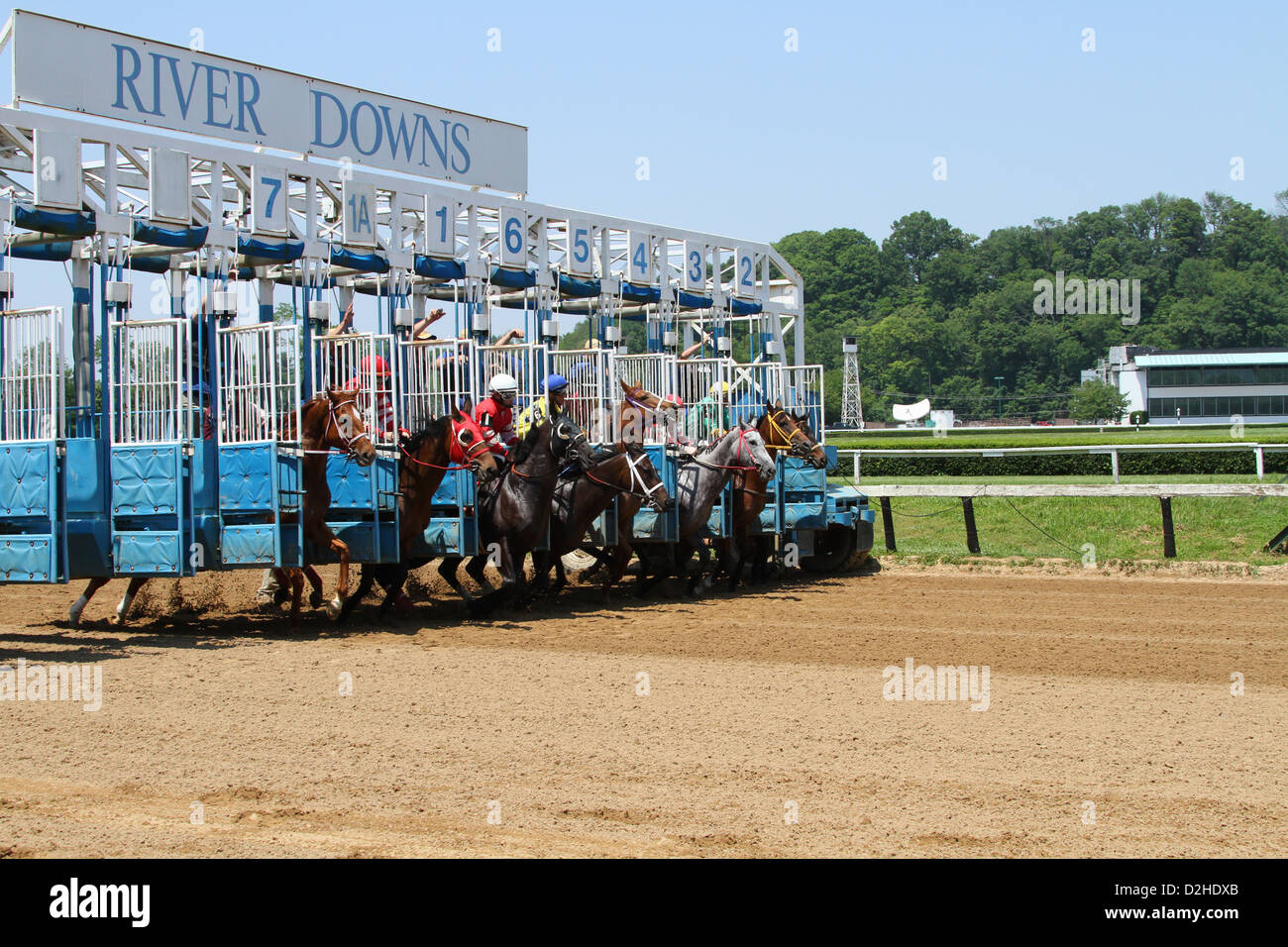 Cavalli a i cancelli di partenza. Corse a cavallo presso il River Downs via, Cincinnati, Ohio, Stati Uniti d'America. Foto Stock