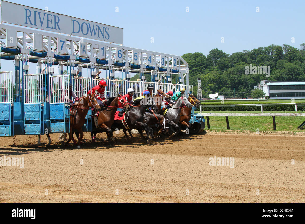 Cavalli a i cancelli di partenza. Corse a cavallo presso il River Downs via, Cincinnati, Ohio, Stati Uniti d'America. Foto Stock