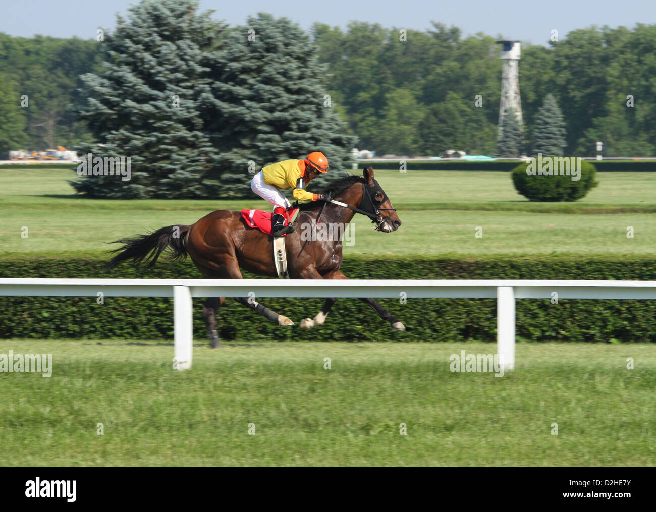 Corse di cavalli sul manto erboso presso il River Downs via, Cincinnati, Ohio, Stati Uniti d'America. Foto Stock