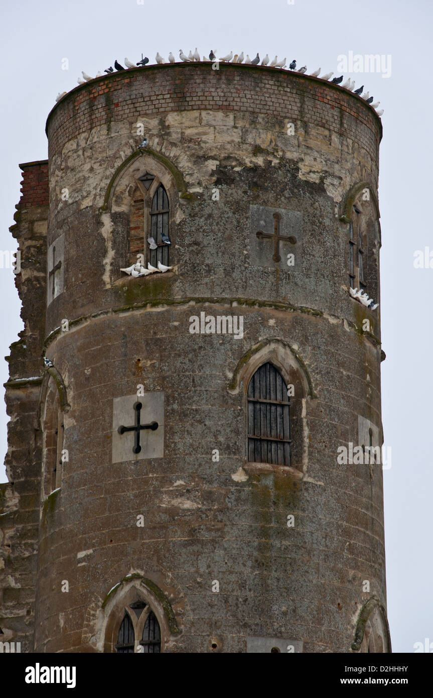Wild piccioni e colombe seduti sulla follia tower Foto Stock