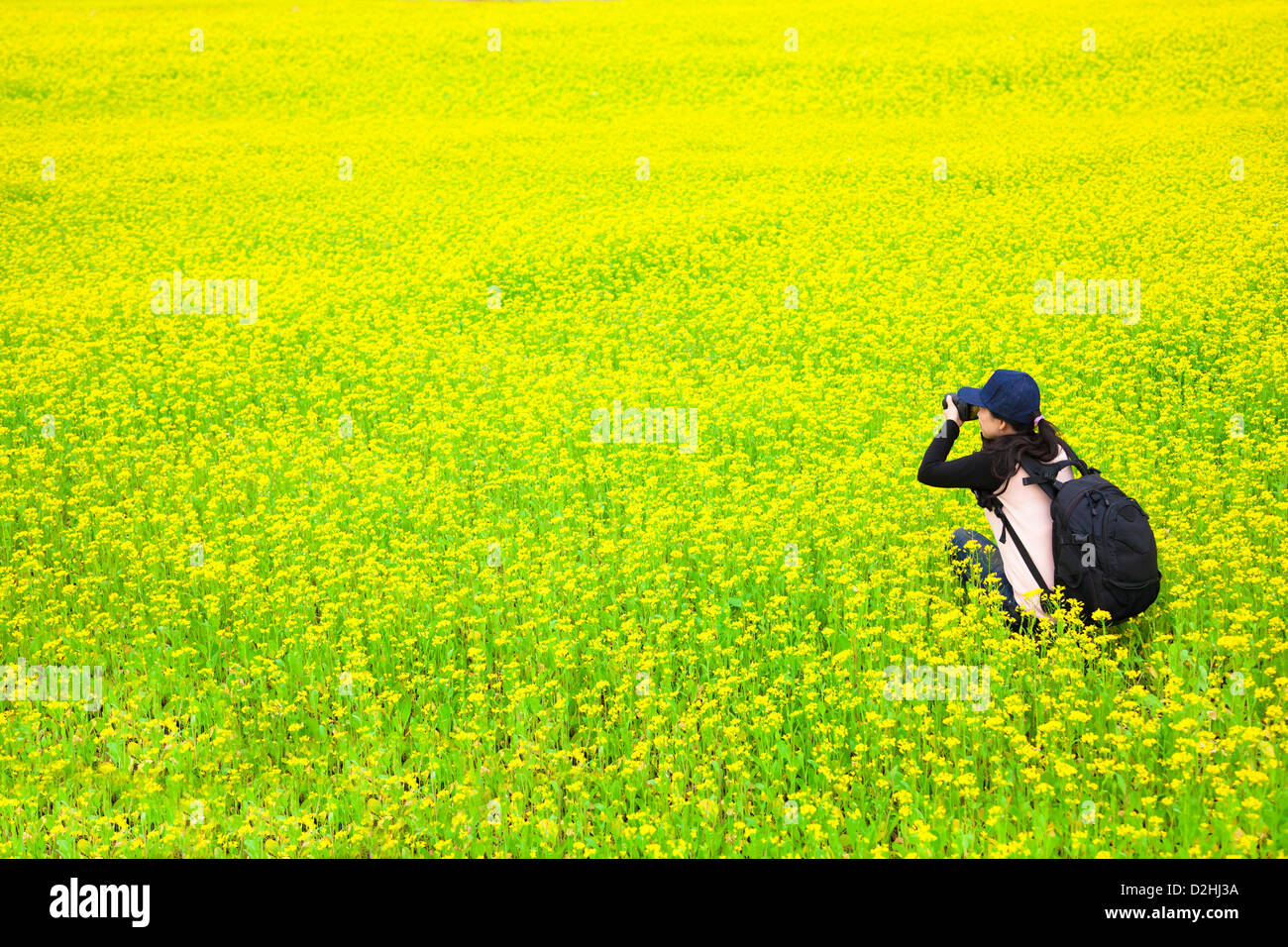 Giovane donna fotografo rendendo le immagini di fiori Foto Stock