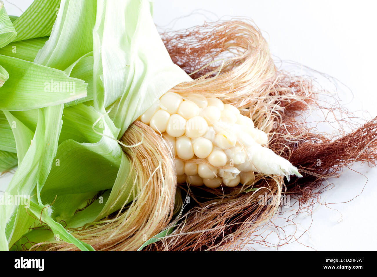 Il mais con le loro barbe e foglie su sfondo bianco Foto Stock