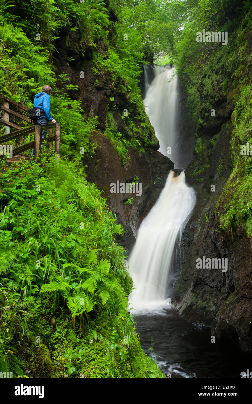 Escursionista sulla passerella di legno accanto a ESS-na-Larach cascata, Glenariff Forest Park, County Antrim, Irlanda del Nord. Foto Stock