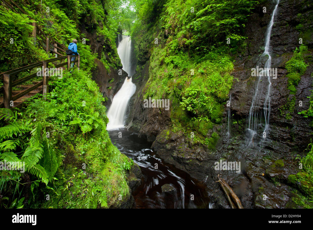 Escursionista sulla passerella di legno accanto a ESS-na-Larach cascata, Glenariff Forest Park, County Antrim, Irlanda del Nord. Foto Stock
