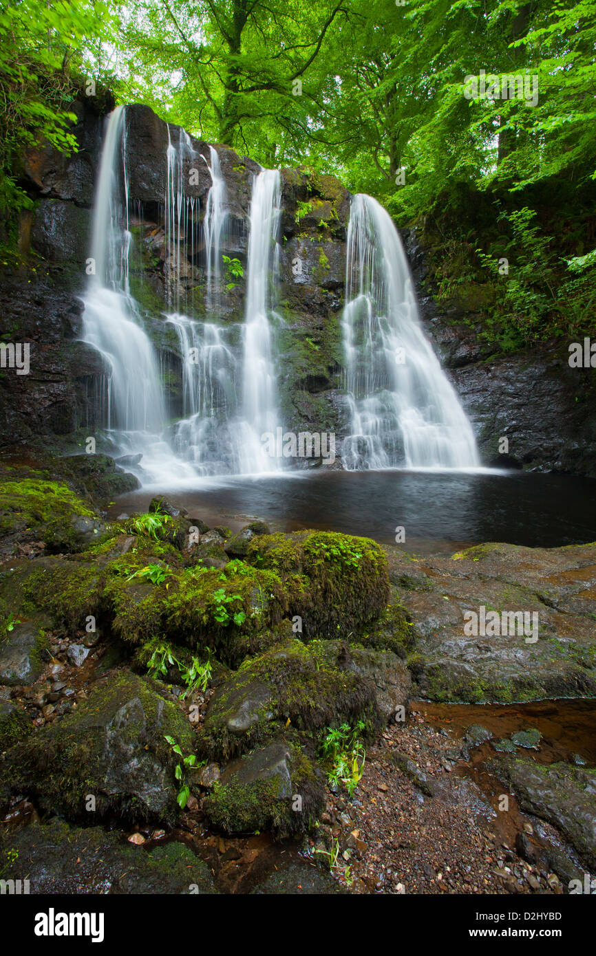 Ess-Na-Crub cascata, Glenariff Forest Park, County Antrim, Irlanda del Nord. Foto Stock