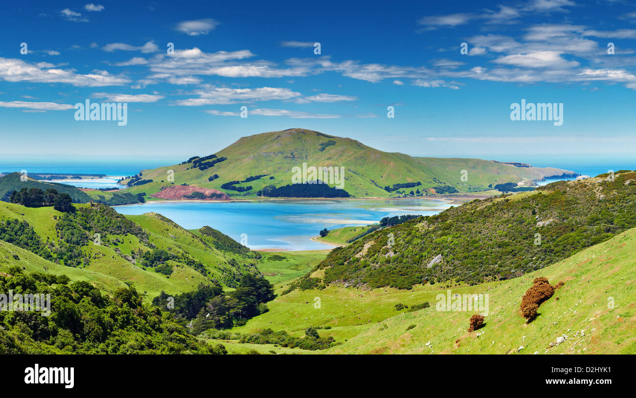 Vista costiera, costa del Pacifico in Nuova Zelanda, Penisola di Otago Foto Stock