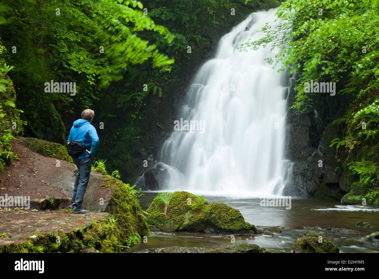 Persona ammirando Glenoe cascata, County Antrim, Irlanda del Nord. Foto Stock