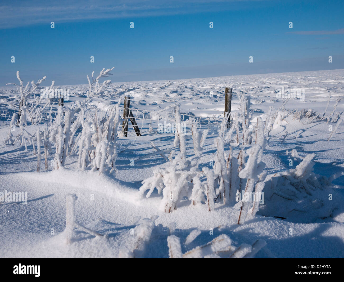 La neve e il gelo su Saddleworth Moor, Inghilterra, Regno Unito. Foto Stock