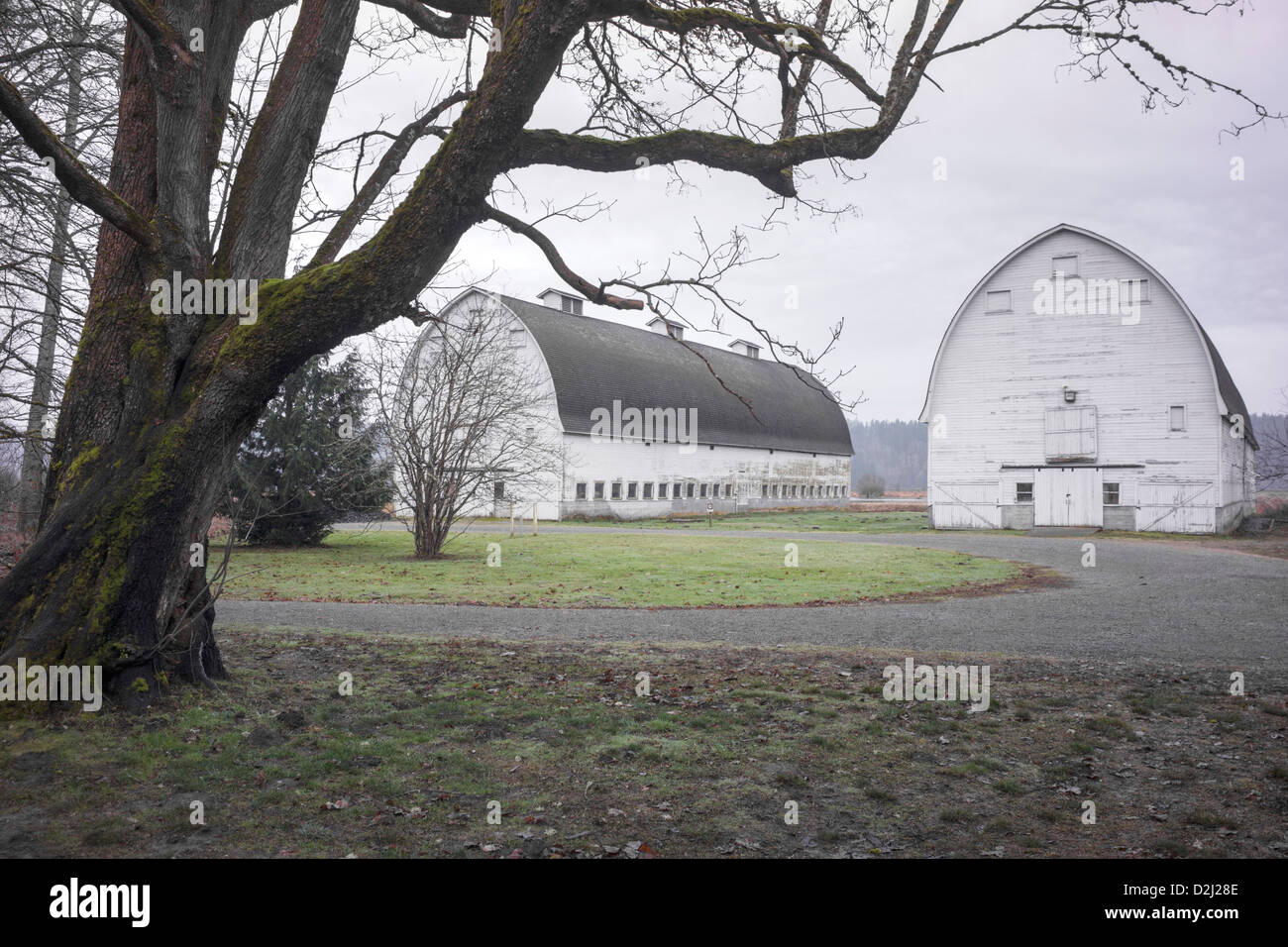 Nisqually National Wildlife Refuge, situato sul fiume Nisqually Delta nel sud del Puget Sound vicino a Olympia, nello Stato di Washington. Foto Stock