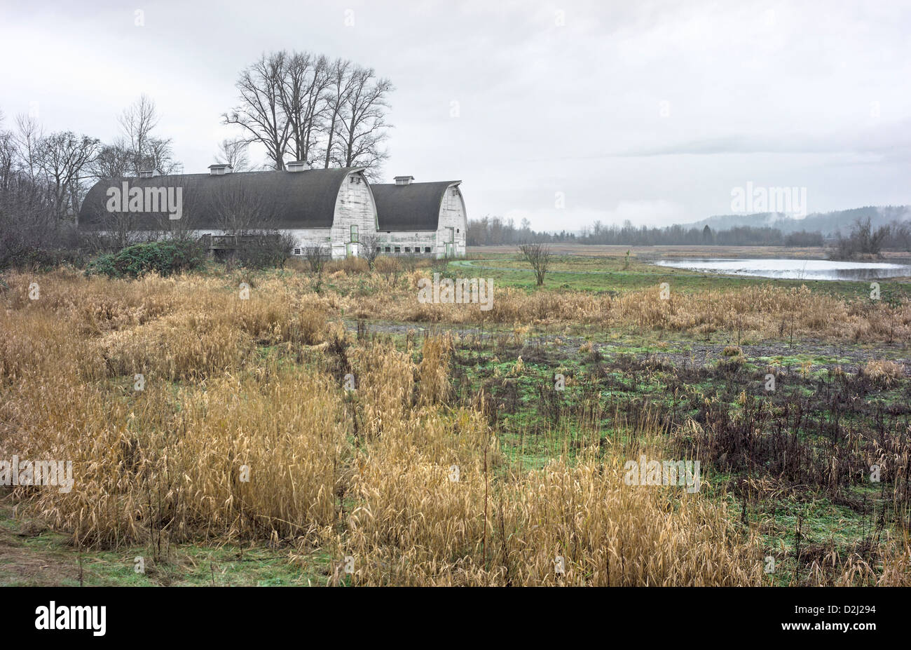 Nisqually National Wildlife Refuge, situato sul fiume Nisqually Delta nel sud del Puget Sound vicino a Olympia, nello Stato di Washington. Foto Stock