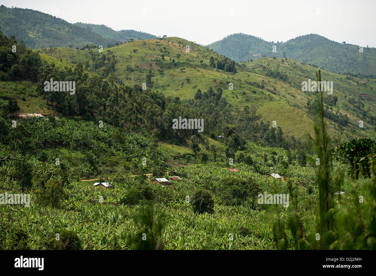 Le montagne e le colline viste di Uganda, Africa Foto Stock