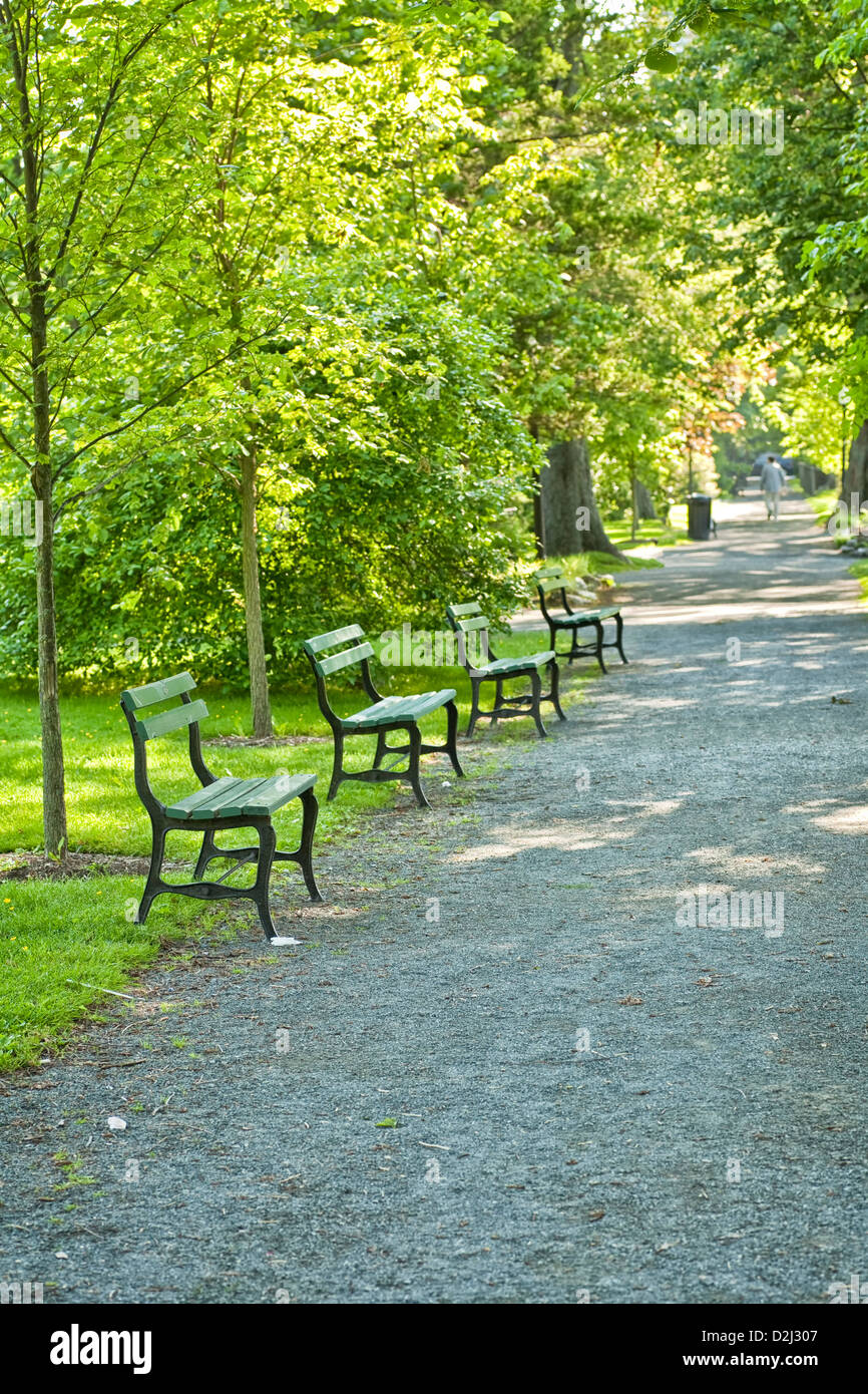 Un sentiero attraverso un piacevole parco della città di Halifax, Nova Scotia. Foto Stock