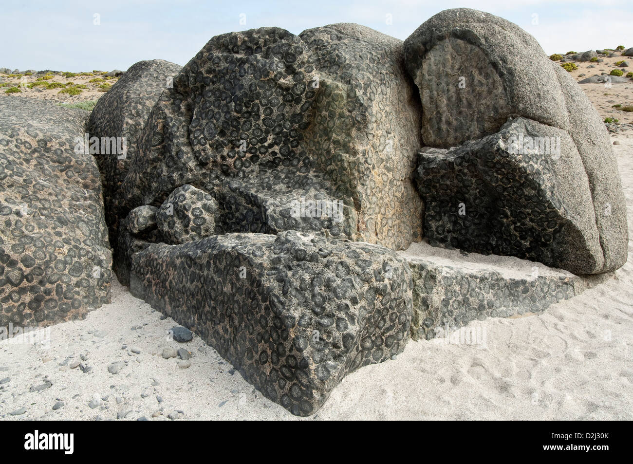 Affioramento di granito orbicular - dettaglio. Granito Orbicular Nature Sanctuary, 15km a nord di Caldera, Cile, America del Sud. Foto Stock