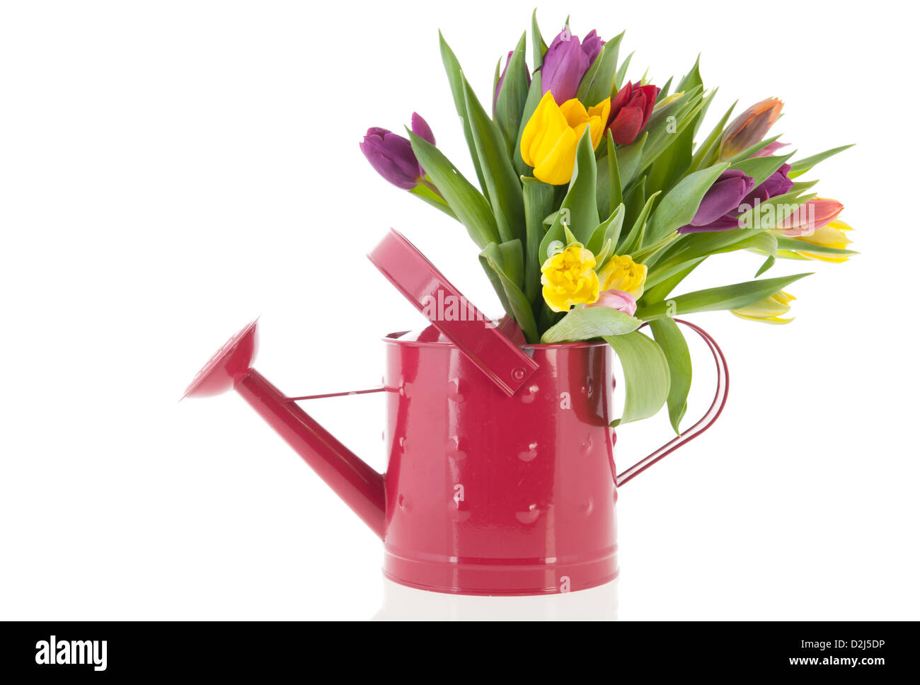 Annaffiatoio con colorati bouquet tulipani in primavera Foto Stock